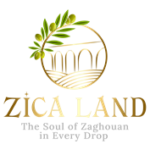 Zica Land