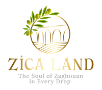 zica-land.com